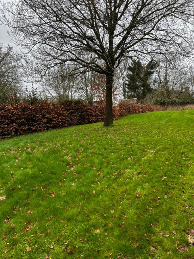 4 St Richard'S Cottages Fittleworth Εξωτερικό φωτογραφία